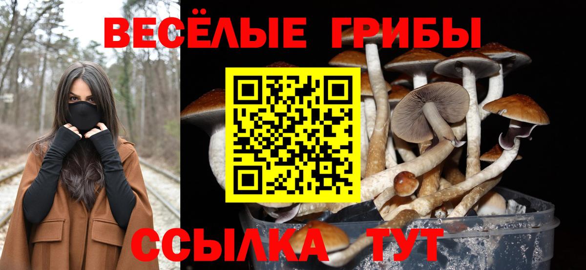 Волжский  Галлюциногенные грибы мухоморы  Вход с VPN 