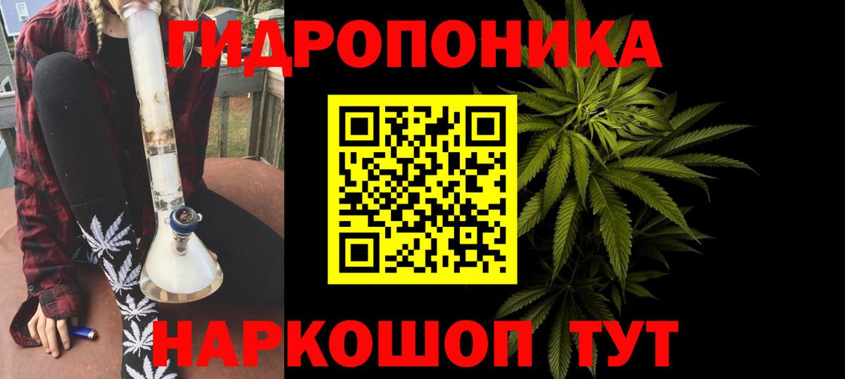 Шишки марихуана сатива Волжский